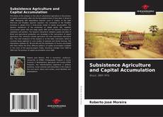 Couverture de Subsistence Agriculture and Capital Accumulation
