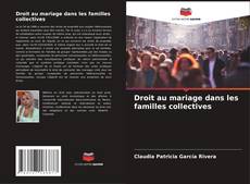 Droit au mariage dans les familles collectives kitap kapağı