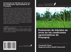 Bookcover of Evaluación de híbridos de arroz en las condiciones agroclimáticas de Prayagraj