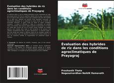 Couverture de Évaluation des hybrides de riz dans les conditions agroclimatiques de Prayagraj