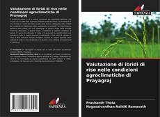 Bookcover of Valutazione di ibridi di riso nelle condizioni agroclimatiche di Prayagraj
