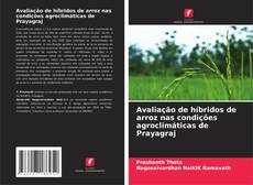 Capa do livro de Avaliação de híbridos de arroz nas condições agroclimáticas de Prayagraj 