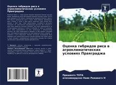 Copertina di Оценка гибридов риса в агроклиматических условиях Праяграджа