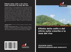 Bookcover of Effetto dello zolfo e del silicio sulla crescita e la resa del riso