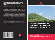 Bookcover of Efeito do enxofre e do silício no crescimento e no rendimento do arroz