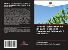 Couverture de Effet de l'application de Zn dans le sol et de l'application foliaire de B sur le maïs