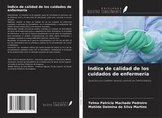 Buchcover von Índice de calidad de los cuidados de enfermería