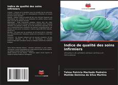 Indice de qualité des soins infirmiers kitap kapağı