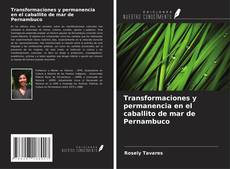Capa do livro de Transformaciones y permanencia en el caballito de mar de Pernambuco 