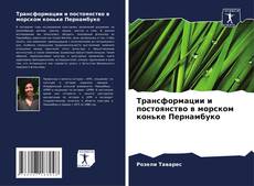 Bookcover of Трансформации и постоянство в морском коньке Пернамбуко