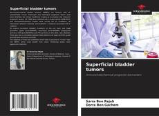 Buchcover von Superficial bladder tumors
