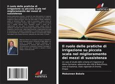 Bookcover of Il ruolo delle pratiche di irrigazione su piccola scala nel miglioramento dei mezzi di sussistenza