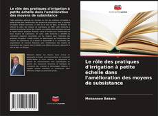 Le rôle des pratiques d'irrigation à petite échelle dans l'amélioration des moyens de subsistance kitap kapağı