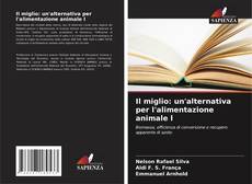 Bookcover of Il miglio: un'alternativa per l'alimentazione animale l