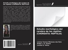 Bookcover of Estudio morfológico del cerebro de los reptiles (CHORDATA: REPTILIA)