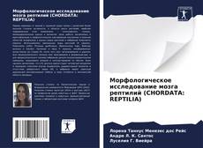 Bookcover of Морфологическое исследование мозга рептилий (CHORDATA: REPTILIA)