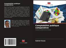 Comptabilité publique comparative kitap kapağı