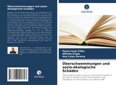 Portada del libro de Überschwemmungen und sozio-ökologische Schäden