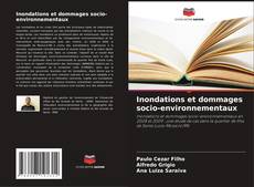 Inondations et dommages socio-environnementaux kitap kapağı