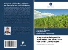 Portada del libro de Sorghum-Allelopathie: Potenzial zur Kontrolle von zwei Unkräutern