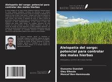 Copertina di Alelopatía del sorgo: potencial para controlar dos malas hierbas