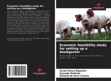 Economic feasibility study for setting up a biodigester kitap kapağı