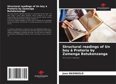 Structural readings of Un boy à Pretoria by Zamenga Batukenzanga kitap kapağı