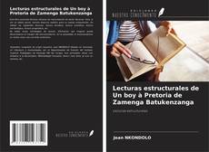 Lecturas estructurales de Un boy à Pretoria de Zamenga Batukenzanga kitap kapağı