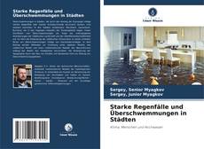 Portada del libro de Starke Regenfälle und Überschwemmungen in Städten