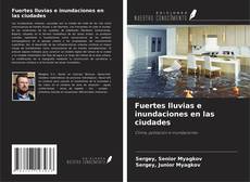 Bookcover of Fuertes lluvias e inundaciones en las ciudades