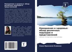 Capa do livro de Наводнения и здоровье: обзор различных подходов и представлений 