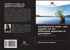 Buchcover von Inondations et santé : une enquête sur les différentes approches et perceptions