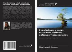 Buchcover von Inundaciones y salud: estudio de distintos enfoques y percepciones