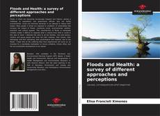 Capa do livro de Floods and Health: a survey of different approaches and perceptions 