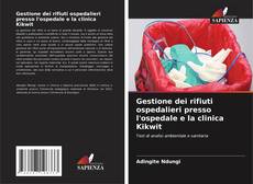 Bookcover of Gestione dei rifiuti ospedalieri presso l'ospedale e la clinica Kikwit