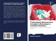 Bookcover of Утилизация больничных отходов в больнице и клинике Киквита