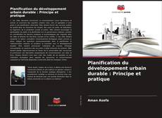 Planification du développement urbain durable : Principe et pratique的封面