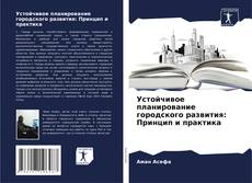 Buchcover von Устойчивое планирование городского развития: Принцип и практика