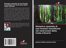 Copertina di Dinamica spaziale di una foresta classificata nel nord-ovest della Costa d'Avorio