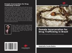 Capa do livro de Female Incarceration for Drug Trafficking in Brazil 