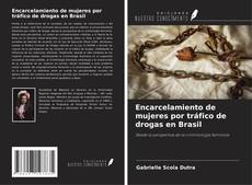 Bookcover of Encarcelamiento de mujeres por tráfico de drogas en Brasil