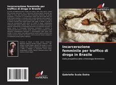 Bookcover of Incarcerazione femminile per traffico di droga in Brasile