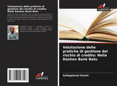 Обложка Valutazione delle pratiche di gestione del rischio di credito: Nella Dashen Bank Batu