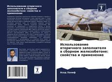 Bookcover of Использование вторичного заполнителя в сборном железобетоне: свойства и применение