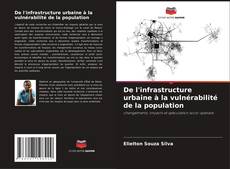 De l'infrastructure urbaine à la vulnérabilité de la population kitap kapağı