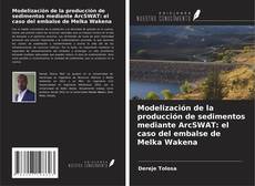 Couverture de Modelización de la producción de sedimentos mediante ArcSWAT: el caso del embalse de Melka Wakena