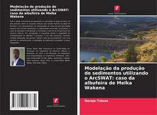 Capa do livro de Modelação da produção de sedimentos utilizando o ArcSWAT: caso da albufeira de Melka Wakena 