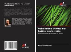 Couverture de Ossidazione chimica nel Latosol giallo-rosso