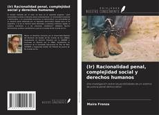 Capa do livro de (Ir) Racionalidad penal, complejidad social y derechos humanos 
