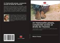 Buchcover von (Ir) Rationalité pénale, complexité sociale et droits de l'homme